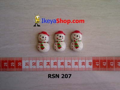 rsn 207  large2